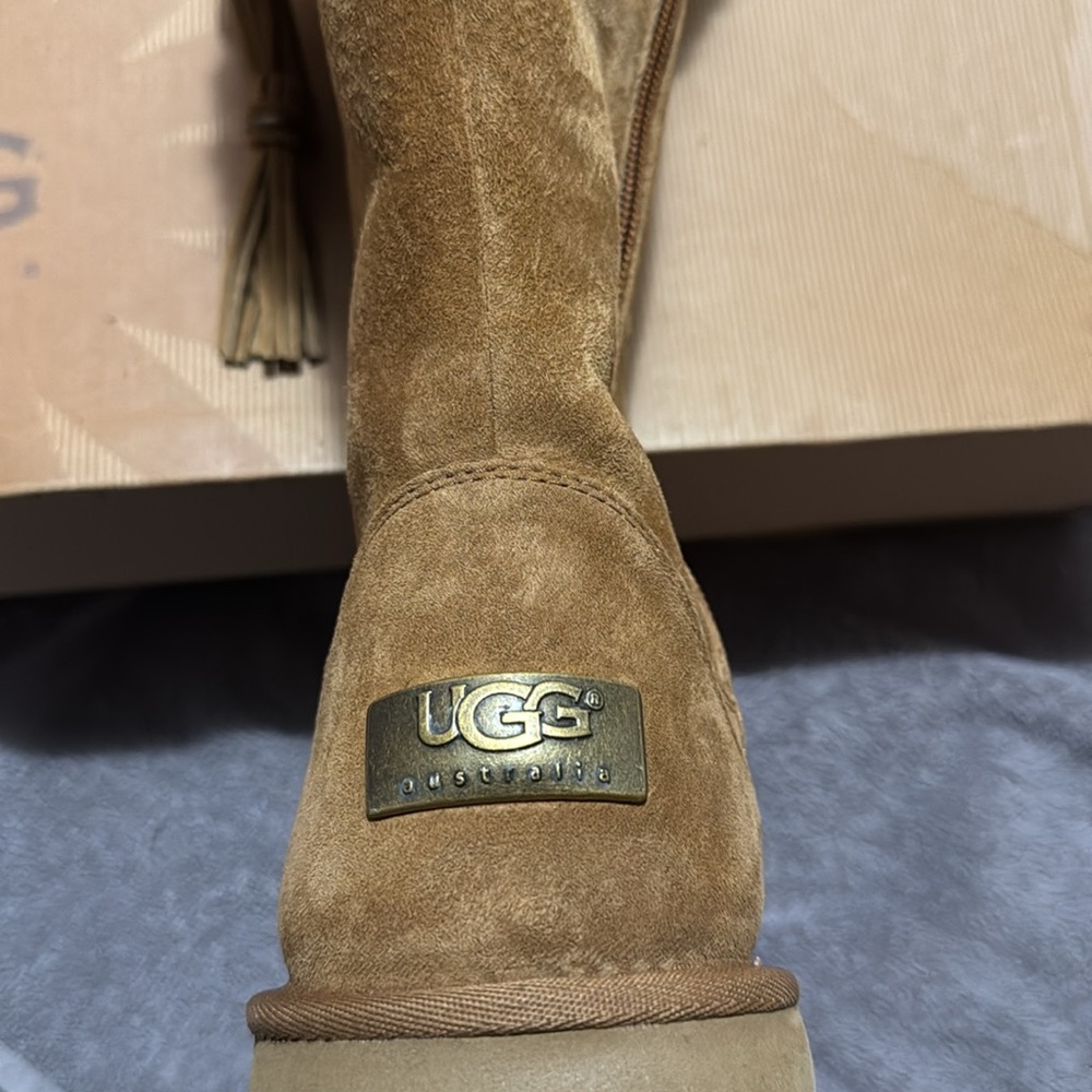 UGG Brown Winter & Rain Boots with Suede Material and Mid-Calf Height
